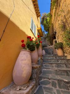 a group of large vases with flowers on the side of a building at La maison jaune in Roquebrune-Cap-Martin