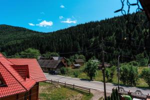 a view of a village with a road and a mountain at Садиба "Едем" in Mykulychyn