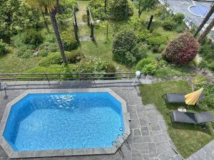 an overhead view of a swimming pool in a garden at Villa Grande Dame by Fewotessin in Minusio