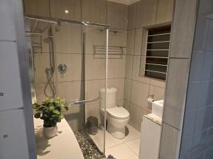 a bathroom with a toilet and a glass shower at In Vrede in George