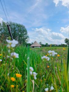 a field of flowers with a tent in the background at Lagom - Logeren in 't groen in Nieuwerkerken