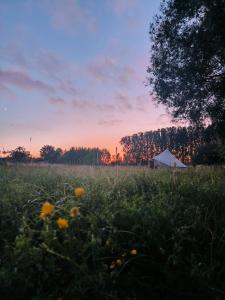 a field of grass with a tent in the background at Lagom - Logeren in 't groen in Nieuwerkerken