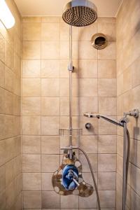 a shower with a blue object in a bathroom at Ferienstudio Traunsee in Gmunden