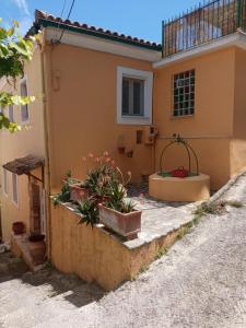 a house with a tub and plants in front of it at The stone house in Doukádes