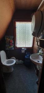 a small bathroom with a toilet and a window at Chata Tatrovice in Tatrovice