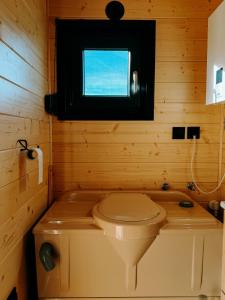 a small bathroom with a toilet and a window at Čiles in Kostolec