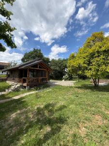 a cabin in a field with a tree at Vila Kadiu in Klos +33 photos