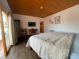 a bedroom with a bed and a table and a television at Tapalpa Hotel Casa Colibrí in Tapalpa