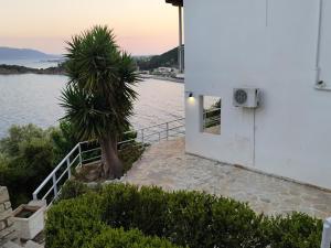 a house with a palm tree next to a body of water at Thea Monastiraki in Nafpaktos