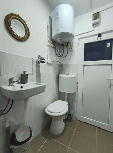 a bathroom with a toilet and a sink and a mirror at Stufstock Hostel in Sulina +27 photos