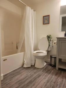 a bathroom with a toilet and a tub and a sink at Close to ASU campus in Tempe