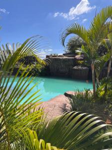 a pool of emerald green water with palm trees at Cascata Boutique Hotel in Várzea da Palma +3 photos
