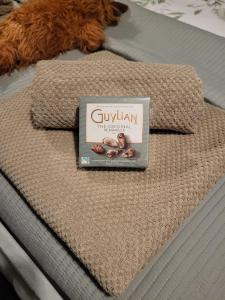 a book on a bed with two pillows on it at Holmleigh Place in Buxton
