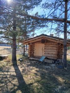 a log cabin in a field with a tree at Arakaoja saunamaja in Nepste