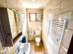a small bathroom with a toilet and a sink at Tea Vendégházak in Ghiduţ