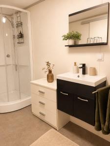 a bathroom with a sink and a shower at Haus Erna Weitra in Weitra