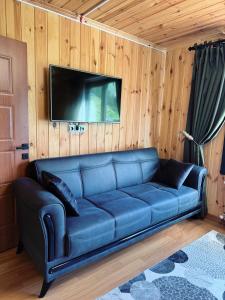 a blue couch in a room with a tv on a wall at Yüce Suite in Uzungöl