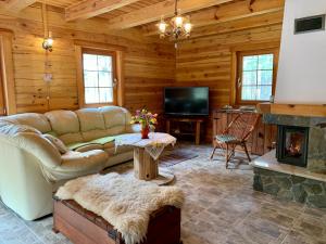a living room with a couch and a fireplace at DOM w BORACH in Cekcyn