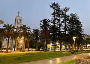 a park with palm trees in a city at night at Parc app in Mohammedia +8 photos