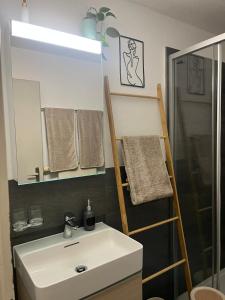 a bathroom with a sink and a shower and a mirror at Layla's in Zermatt