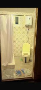 a small bathroom with a toilet and a shower at Aruna Guesthouse in Saty