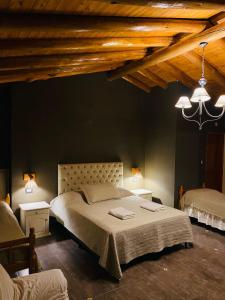 a bedroom with a large bed in a room with wooden ceilings at Posada La Ernestina Villa de las rosas in Villa Las Rosas
