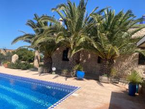 a swimming pool with palm trees next to a house at Suite majorelle in Moulay Douraïne