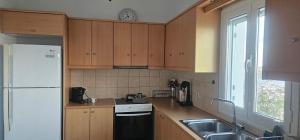 a kitchen with wooden cabinets and a white refrigerator at MaryAnn's house in Livadi