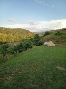 a tent in the middle of a grass field at El Astial De Ezquerra - Camp in Ezquerra