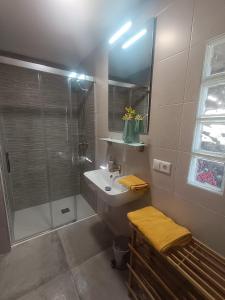 a bathroom with a shower and a sink and a shower at El Astial De Ezquerra - Camp in Ezquerra