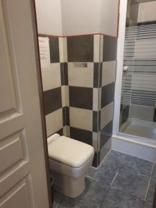 a bathroom with a toilet and a shower at l'authentique in Saint-Amand-Montrond +4 photos