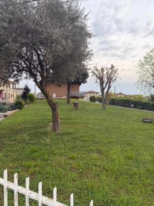 a field with trees and a white fence at La dolce casa in Verdellino