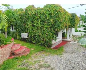 a ivy covered building with a house at Casa chalet in Chiquimula