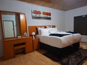 a bedroom with a large bed and a mirror at Le Cape Nest Guest House in Parow