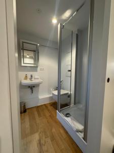 a bathroom with a shower and a toilet and a sink at AltstadtOase in Konstanz +14 photos