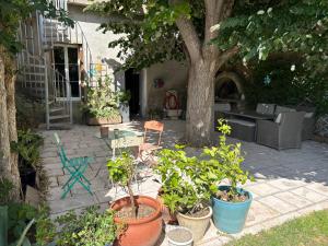 a patio with potted plants and a tree at La Cathare in Lézignan-Corbières