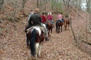 a group of people riding horses down a trail at All Aboard Stylish Downtown Loft, Walk to Restaurants, Shops, Train in Bryson City
