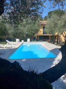 a large blue swimming pool in front of a house at La Kasà in Fucecchio