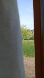 a view of a field of grass from a window at B&B Il Nocciolino in La Fabbrica