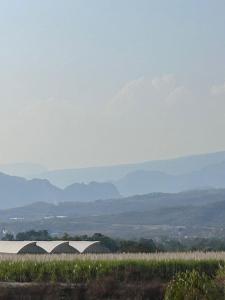 Gallery image of Cielo Naranja in Oacalco