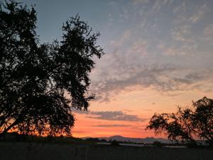 Gallery image of Cielo Naranja in Oacalco +34 photos