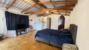a bedroom with a blue bed and a television at La Gruta Glamping in Fúquene