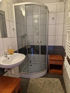 a bathroom with a shower and a sink at U Bobaków in Murzasichle +14 photos
