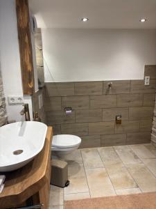 a bathroom with a sink and a toilet at FeWo Johann Friedrich in Hilpoltstein