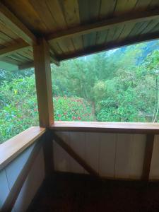 a view of a window in a room with flowers at Hotel El Abrazo del Arbol in Mindo +68 photos
