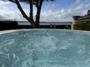 a large pool of blue water with a tree in the background at Villa les dunes in Carantec