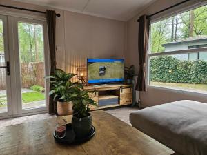 Ein Schlafzimmer mit einem Fernseher auf einem Tisch und einer Pflanze in der Unterkunft Roosje in Hoenderloo