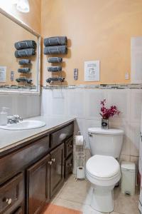 a bathroom with a toilet and a sink and a mirror at Mona Master suite in Kingston