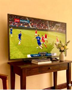 a television screen with a soccer game on it at Swiss Bay Hotel & Resort-Arugambay in Pottuvil