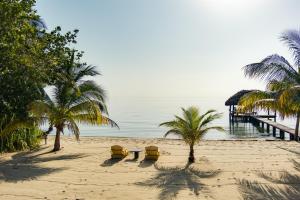 a sandy beach with palm trees and a pier at Spacious Beachfront Family Home w Caribbean Views in Maya Beach